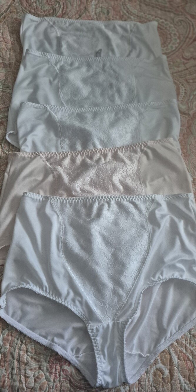 Bali Bundle of Light Control Panties